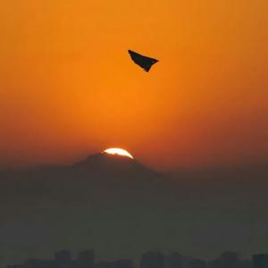 兔子九州头像