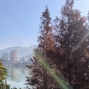 石膏线一家人头像