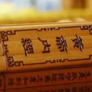 BS20241019头像