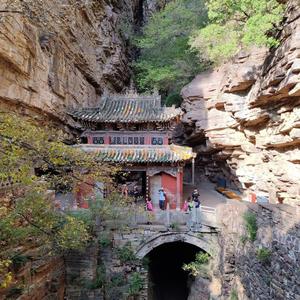 旅途中的猫头像