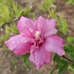 一路芳华jyf头像