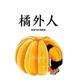 橘外人呀头像
