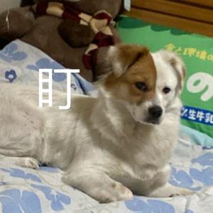 BWYo3o头像