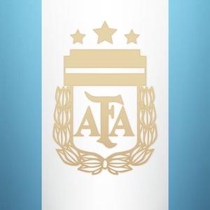 阿根廷国家足球队头像