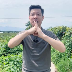 眉坞牛娃头像