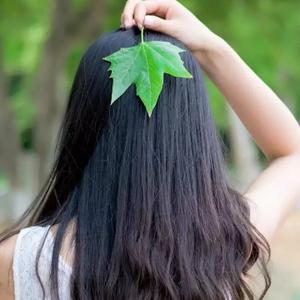 风从哪里来c头像