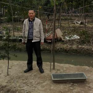 老牛刘De生活头像