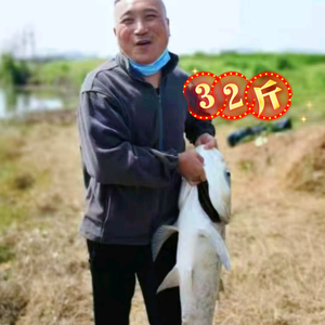 海哥是个钓鱼佬头像