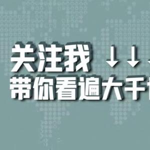 直爽带你看世界头像