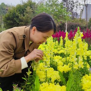 米线头像