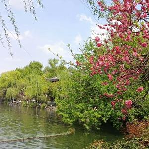 背包游客头像