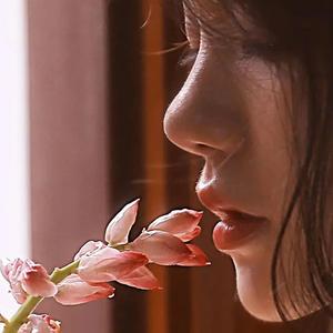 菱花思雨头像