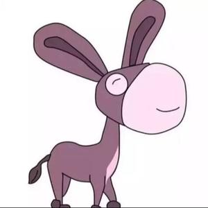 驴小姐的精彩生活头像