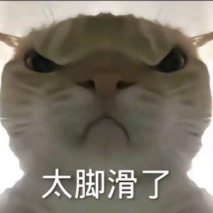 入项头像