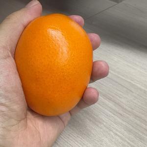 皱巴巴头像