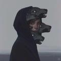 兔子骑士A头像