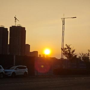 弓虽小强哥头像