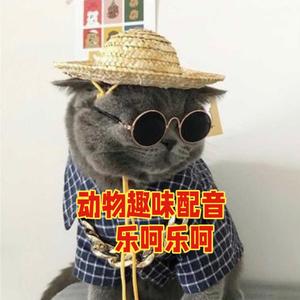 魔童动物搞笑配音头像