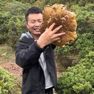 乡村小刚头像