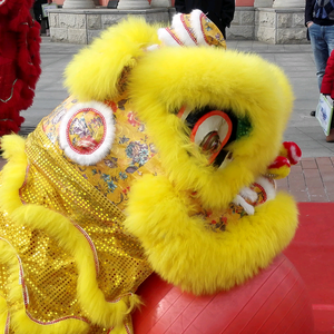 李国顺舞狮队,李国顺功夫健身馆头像