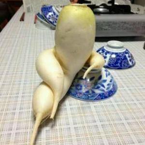 爱新觉罗权头像