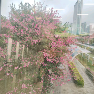 正能量语录躺平追求说头像