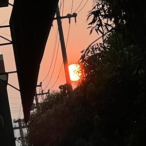 白开水头像