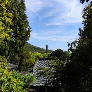 聆颖之晚风头像