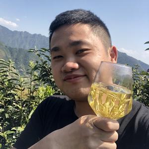 茶毛的茶头像