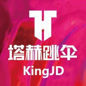 三亚塔赫跳伞飞行员KingJD头像