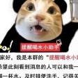 Rule头像