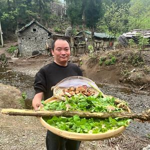 大山深处的星哥头像