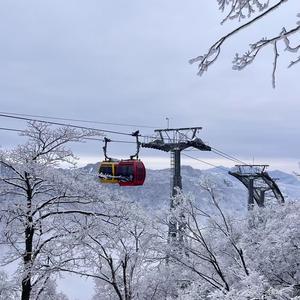 融达旅游头像