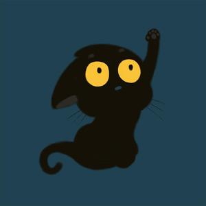 黑猫波克G头像