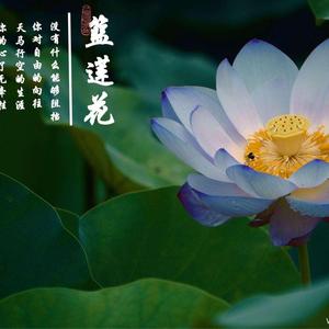 蓝莲花12015头像