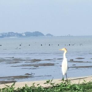 Lily向往的风景头像