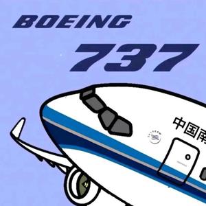 一架南航的737头像
