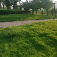 峰哥在旅途头像