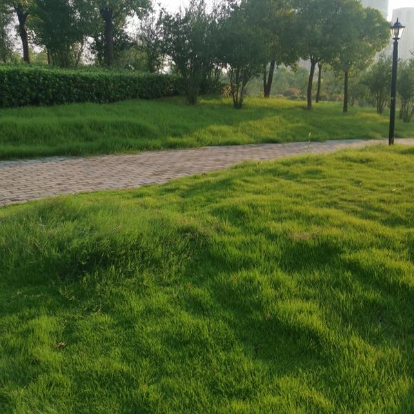 峰哥在旅途头像