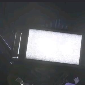 番茄102288140098 头像