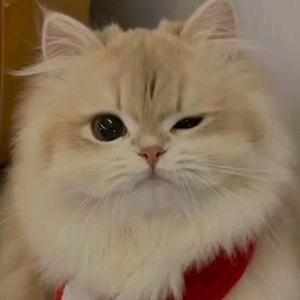 ʚ萱儿ɞ头像
