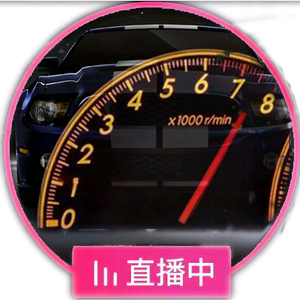 高速老司机头像