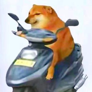 开朗的wou头像