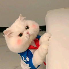 爱音乐的柠小萌的个人主页 西瓜视频