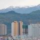 321你大哥头像