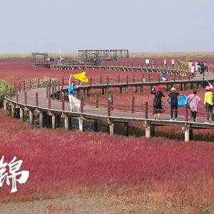 小田在努力生活头像