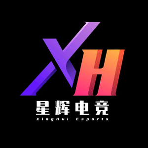星辉电竞玩家联盟头像