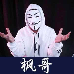 白帽黑客枫哥头像