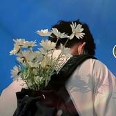 苹果西打风味头像