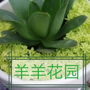 羊羊花园头像